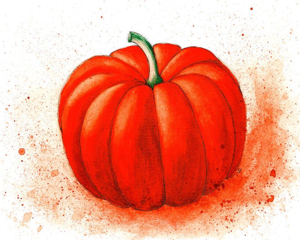 le potiron, star de l'automne